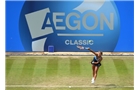 BIRMINGHAM, ENGLAND - JUNE 14: Barbora Zahlavova Strycova of Czech Republic in action against Casey Dellacqua of Australia on day six of the Aegon Classic at Edgbaston Priory Club on June 13, 2014 in Birmingham, England. (Photo by Tom Dulat/Getty Images)